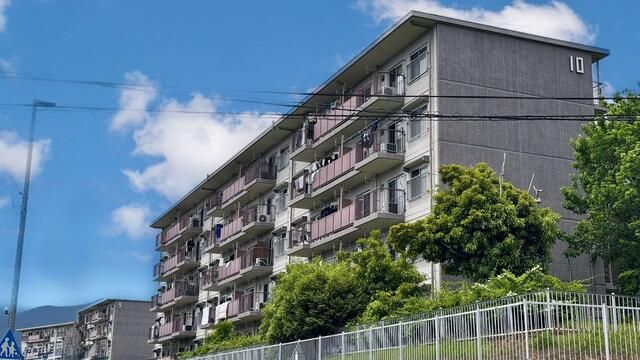 くずは台団地１０号棟 103号室 外観