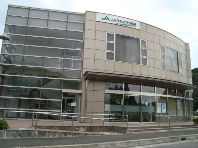 メゾンド池尻 その他外観6