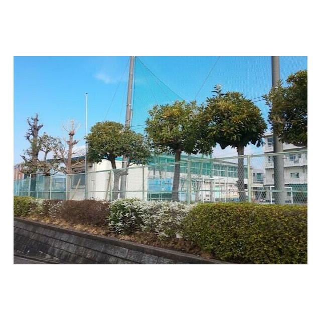 ベルク名瀬 周辺画像1