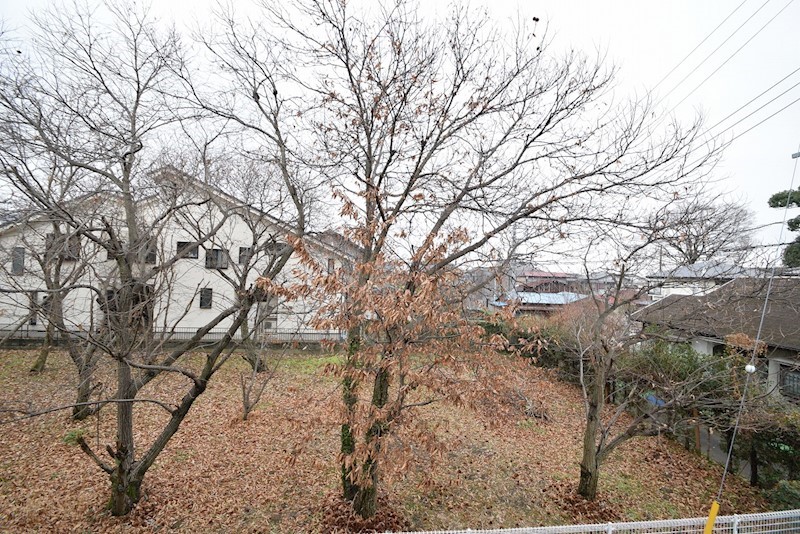 パレスコスモス その他4