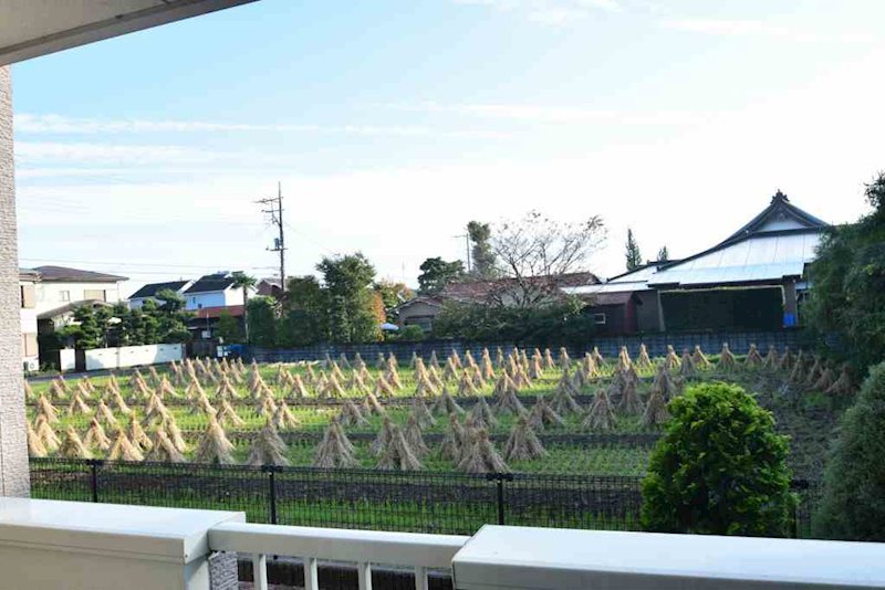 Ｙ．クルメン その他6