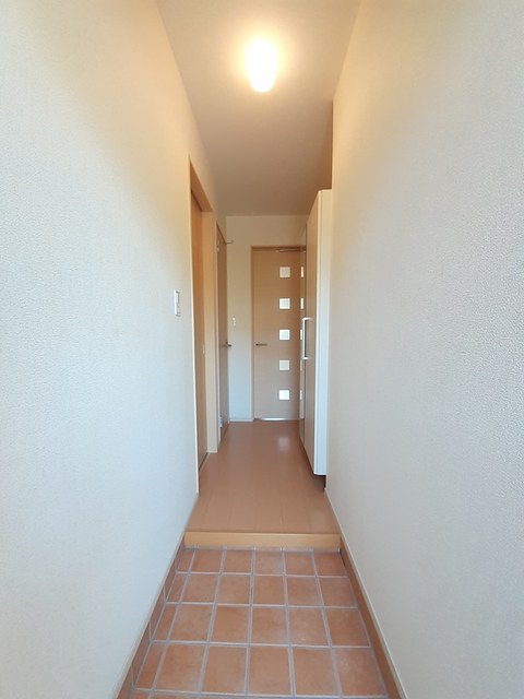 ラフィーネワン 玄関