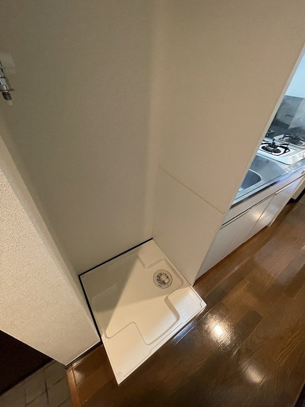 ラズベリーリーフ その他5