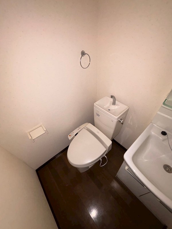 ラズベリーリーフ その他1