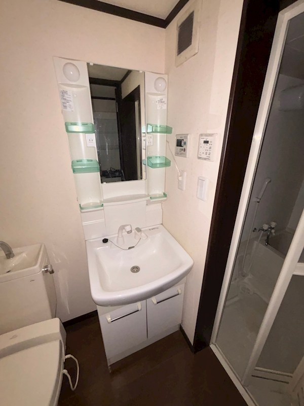 ラズベリーリーフ その他2