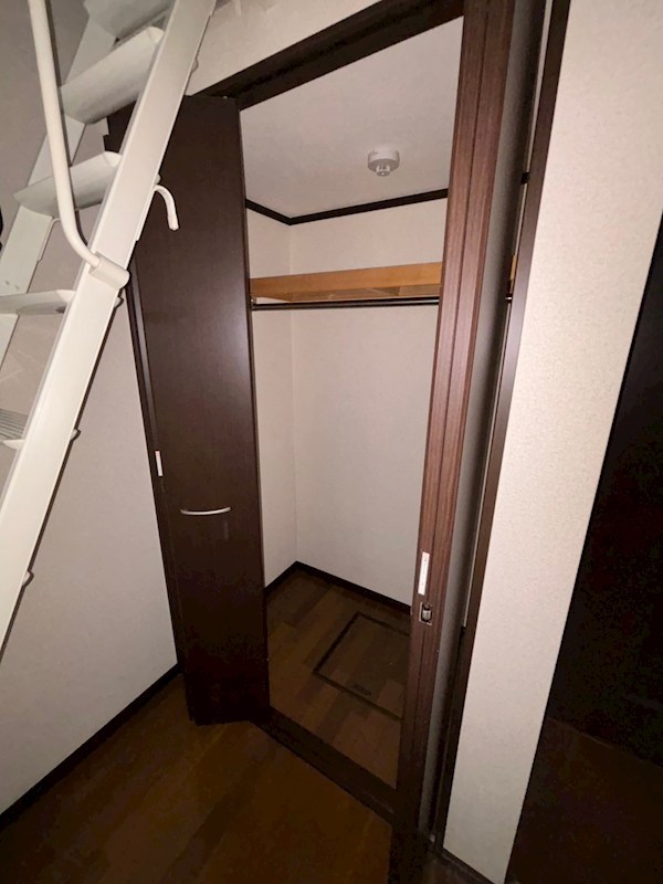 ラズベリーリーフ その他3