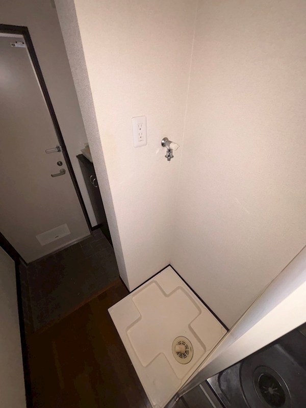 ラズベリーリーフ その他6