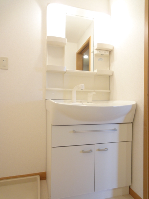 バウムガルトナー その他3