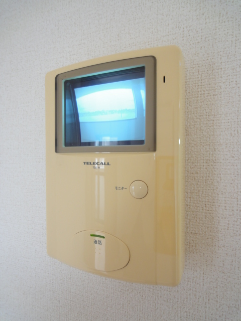 バウムガルトナー その他6