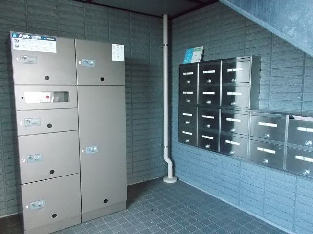 バウムガルトナー その他5