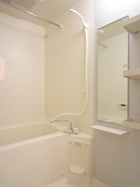 バウムガルトナー 風呂画像