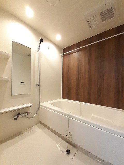 Ｇｅｏハイム 風呂画像