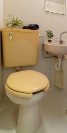 グレース平塚 その他2