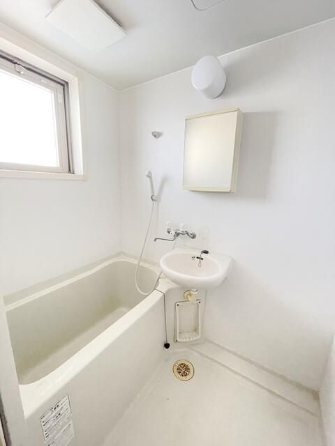 ロック・フィールド水引 その他2