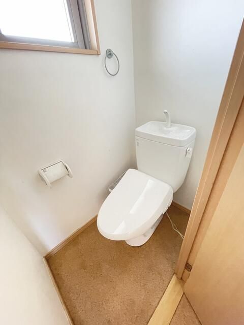 ロック・フィールド水引 その他3