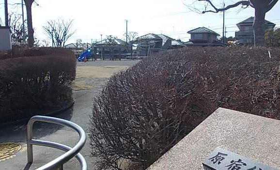 ショコラⅡ その他外観1