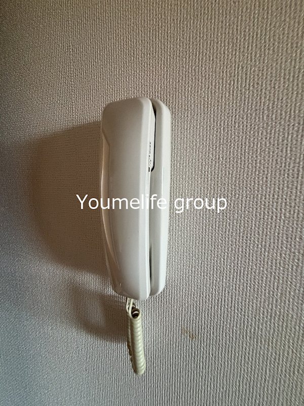 ハイネスＫ その他1