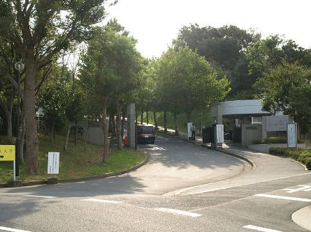 第５クレスト吉原 周辺画像5