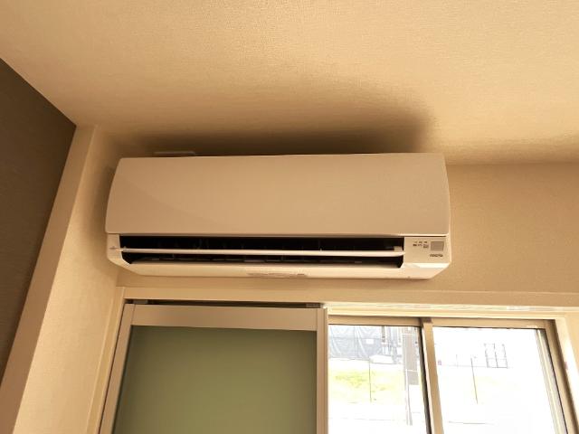 ディモーラ その他1