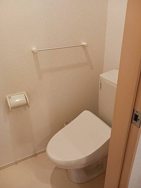 チェリーブロッサム その他1