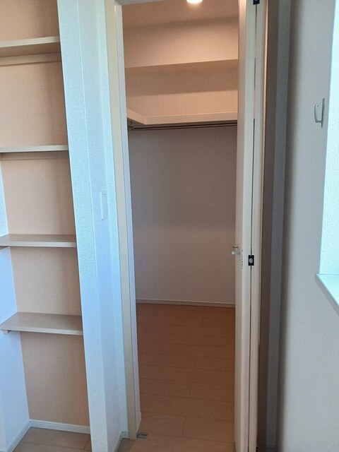 チェリーブロッサム その他3