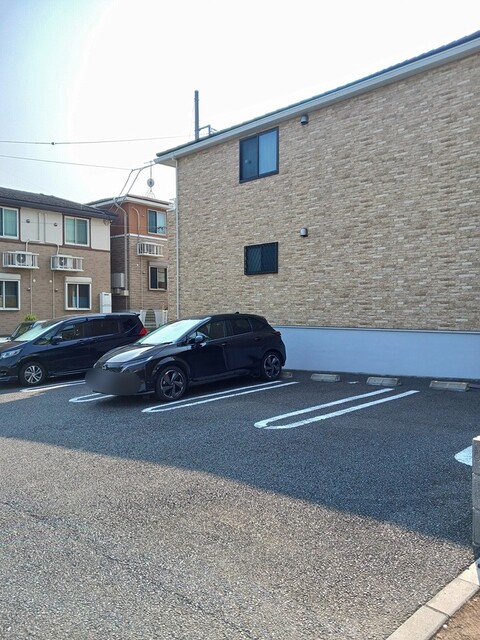 チェリーブロッサム その他5