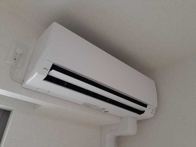 カサベルテ・ホオノキ その他6