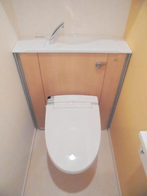 カメリア その他4