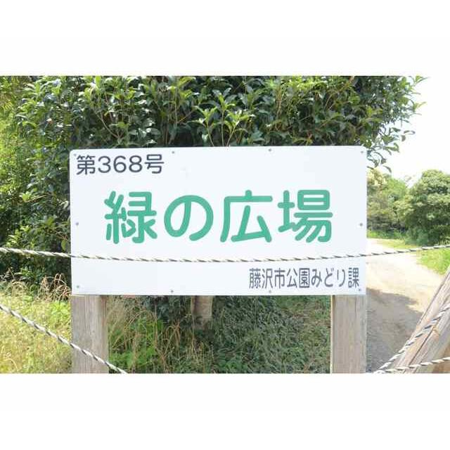 グリーンバード湘南 その他外観2