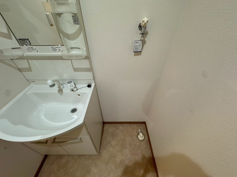 レパード板戸 その他5