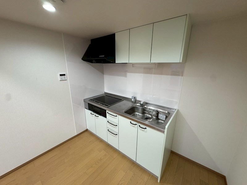 レパード板戸 キッチン