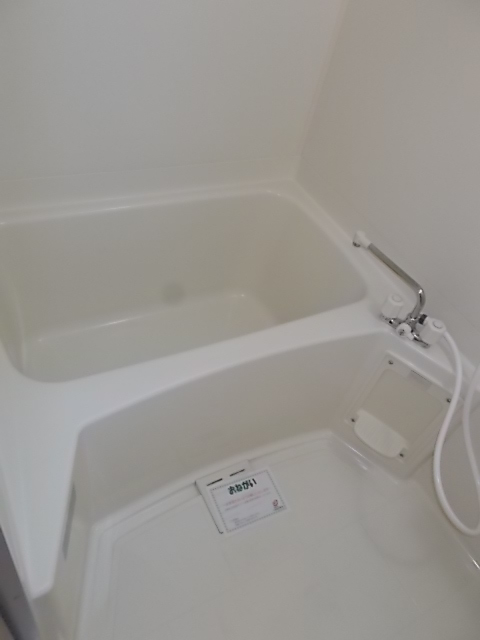 シェーネスハウゼ 風呂画像