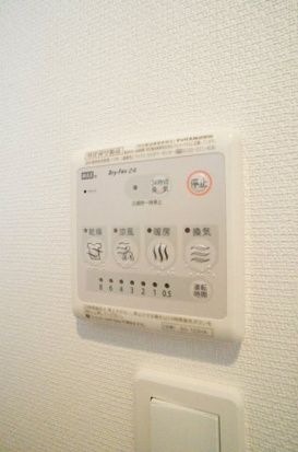 リブリ・アジール・リラ その他9