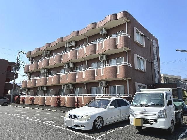 ブロメリア その他1