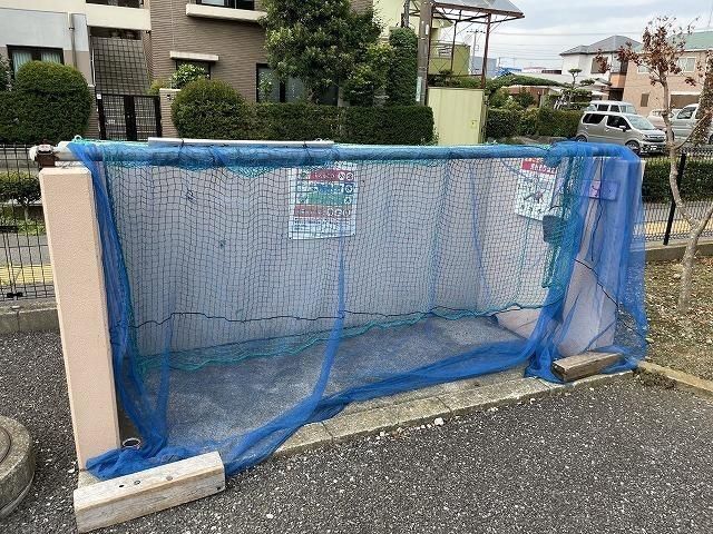 ブロメリア その他2