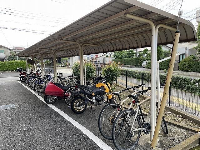 ブロメリア その他外観2