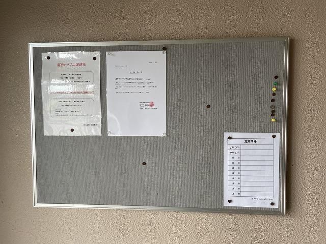 ブロメリア その他外観4