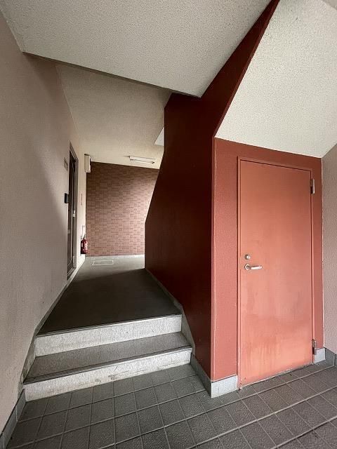 ブロメリア その他外観5