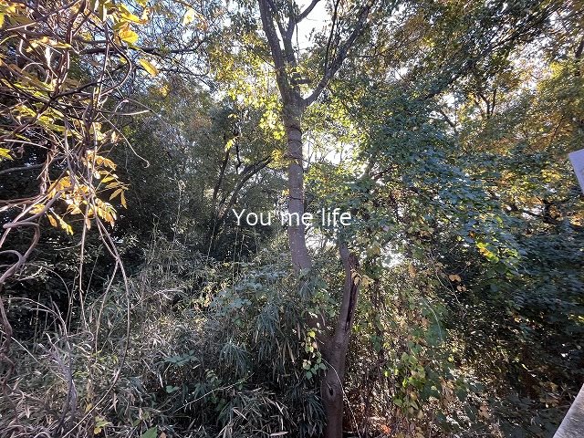 ラックスホーム本郷台 その他6