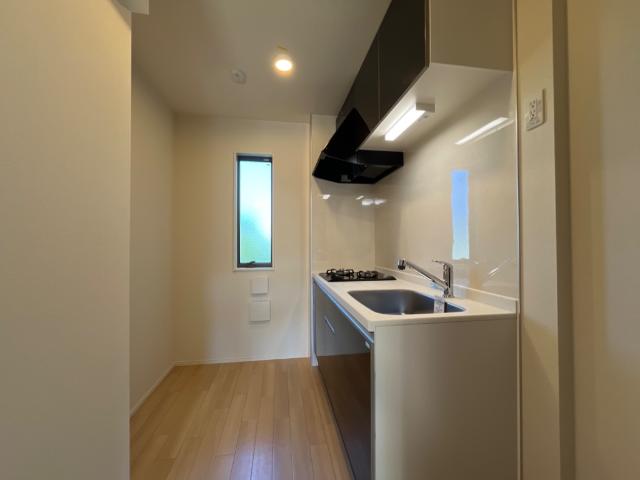 プルメリア その他8