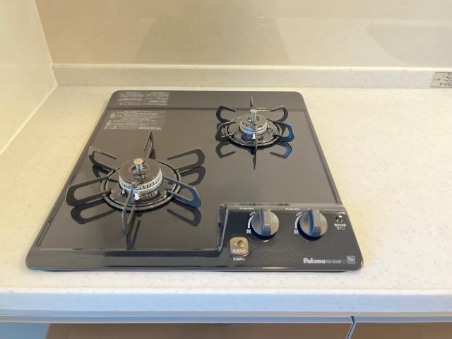 プルメリア その他11