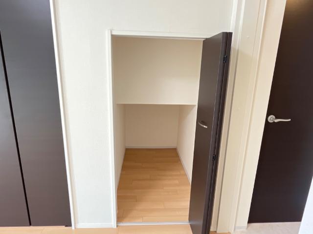 プルメリア その他14