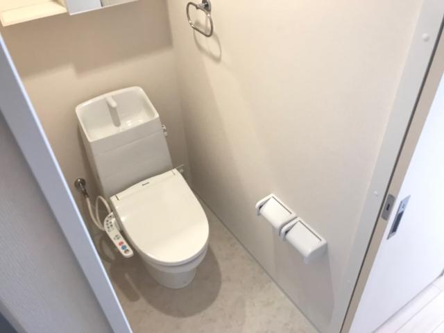 プルメリア その他1