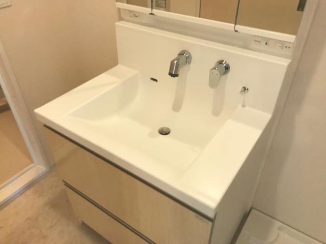 プルメリア その他5