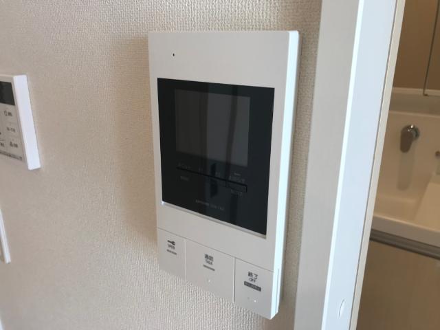 プルメリア その他9