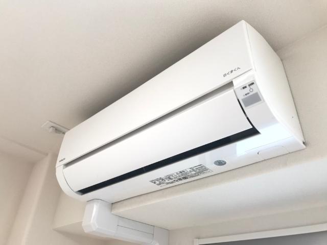 プルメリア その他10