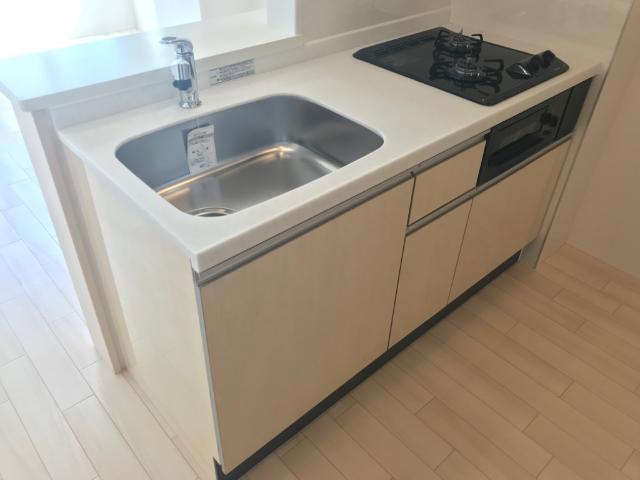 プルメリア その他11