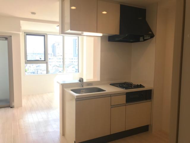 プルメリア その他12