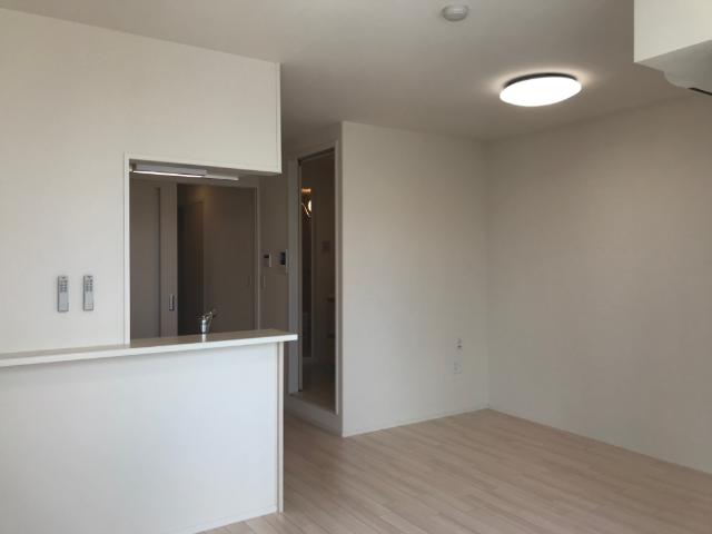 プルメリア その他14