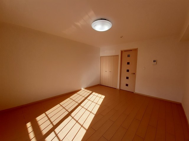 プラシード その他1